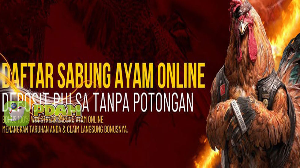 Modal Deposit Pulsa Sudah Bisa Memainkan Sabung Ayam Online