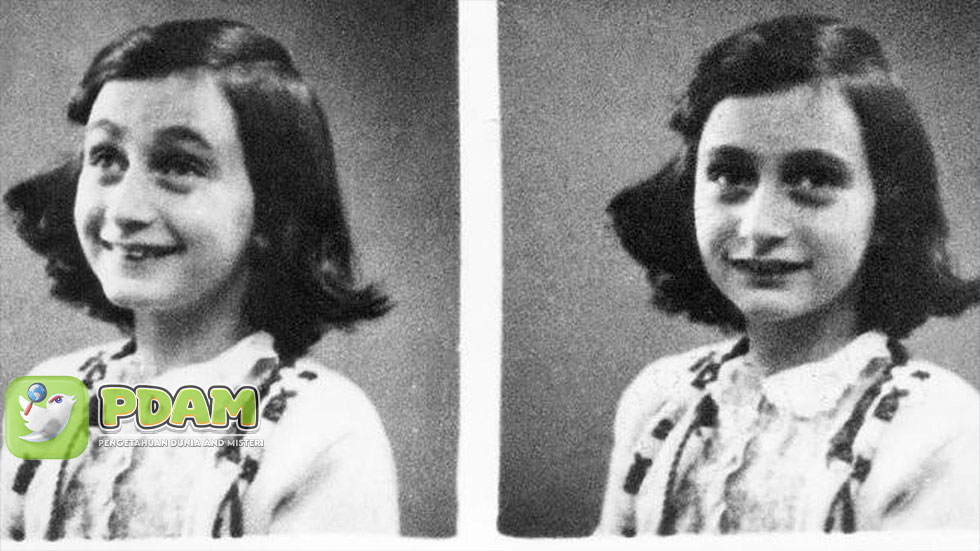 Penghianatan Anne Frank Siapa yang Membocorkan Rahasia Dia?