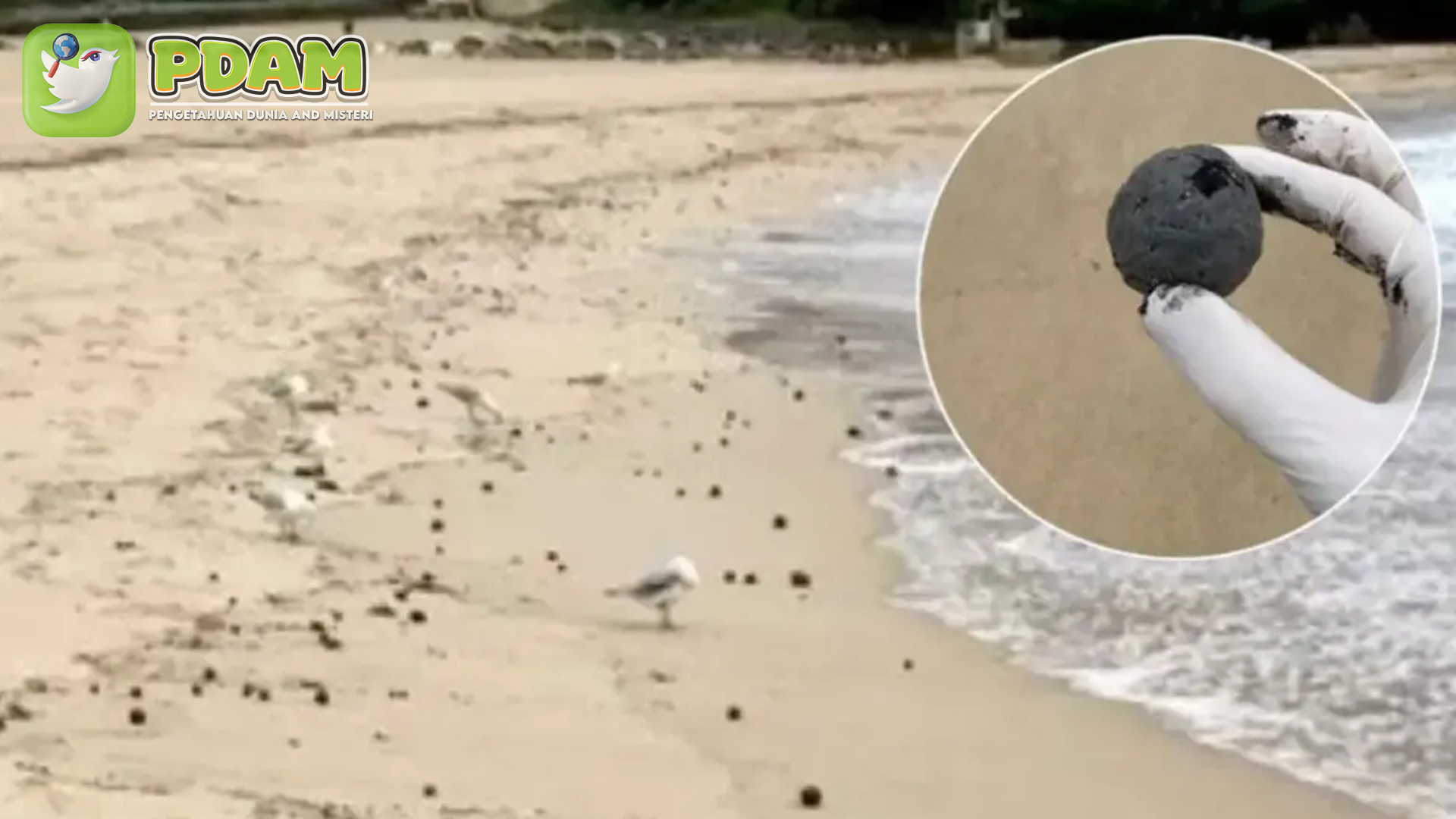 Misteri Bola Hitam di Pantai Australia: Alam atau Ulah Manusia?