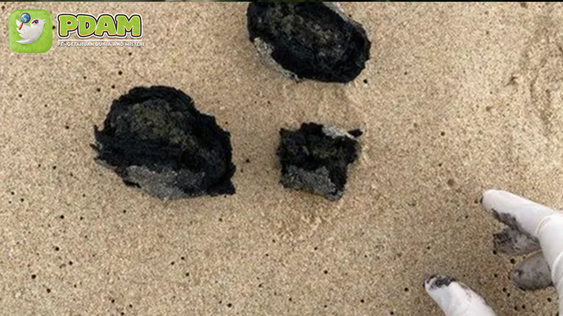 Misteri Bola Hitam di Pantai Australia: Alam atau Ulah Manusia?