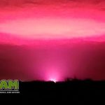 Langit Australia Berwarna Pink: Ladang Ganja dan Misteri Alien