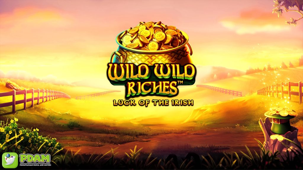 Dapatkan Pengalaman Bermain Slot di Wild Wild Riches