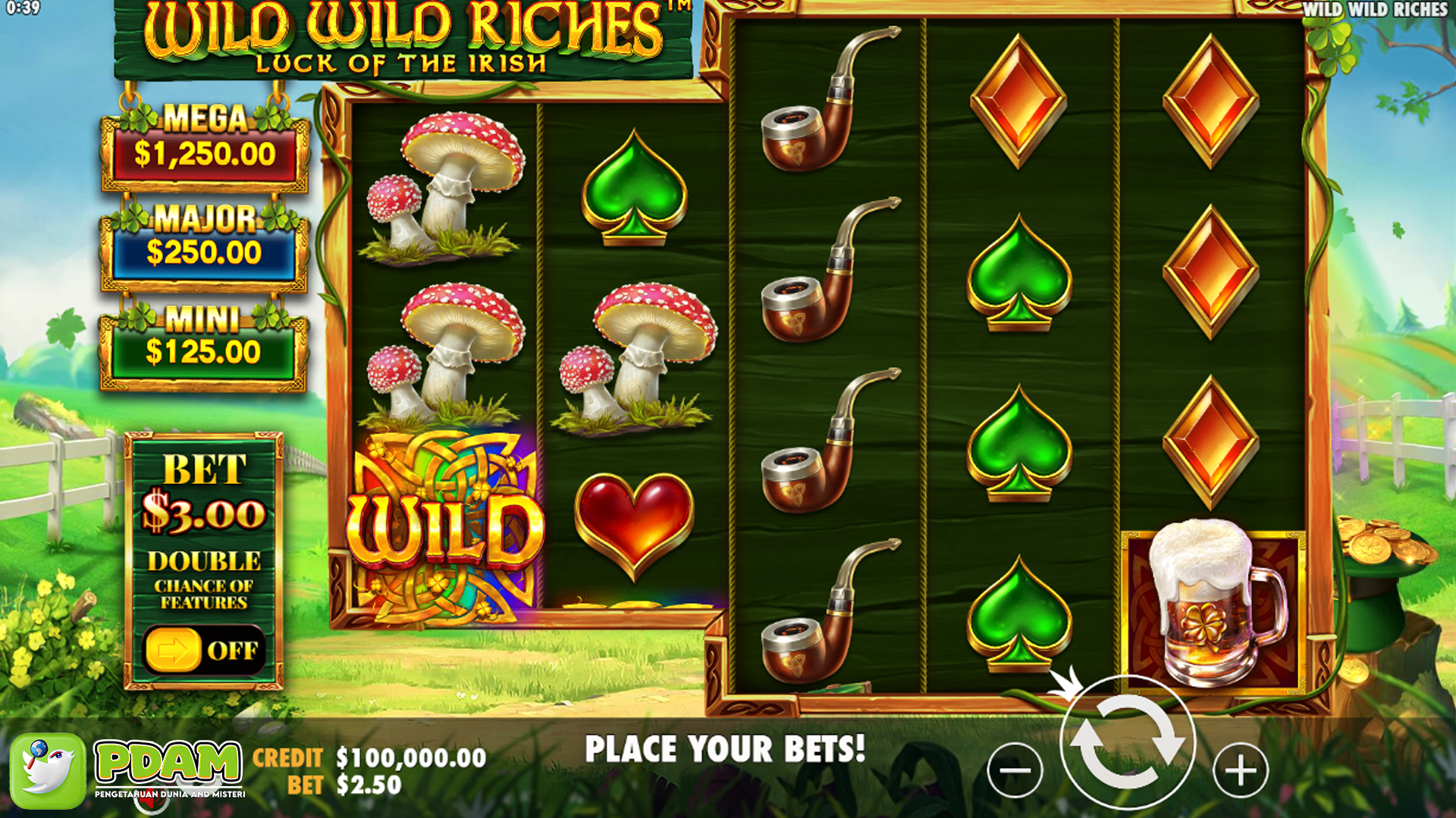 Dapatkan Pengalaman Bermain Slot di Wild Wild Riches