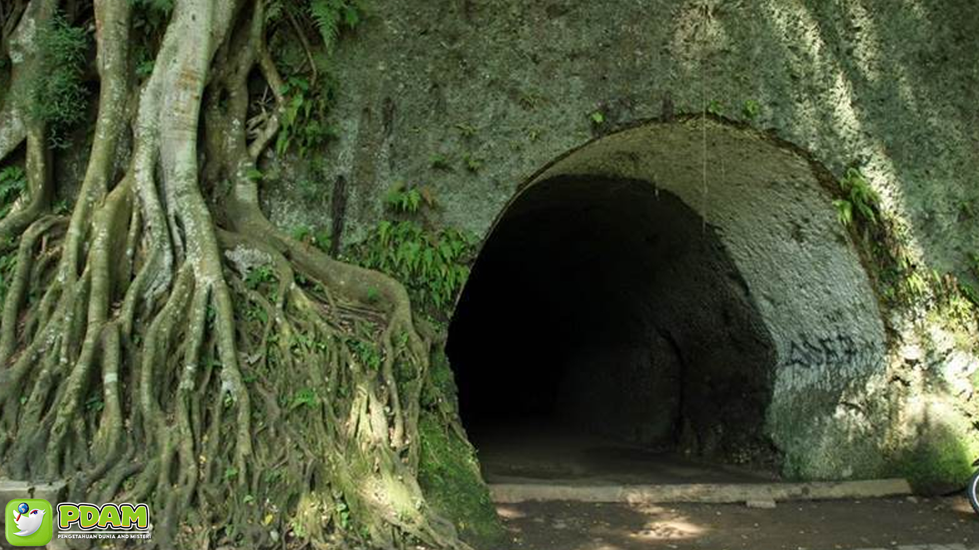 Gua Jepang Bandung: Saksi Bisu Perang yang Penuh Misteri