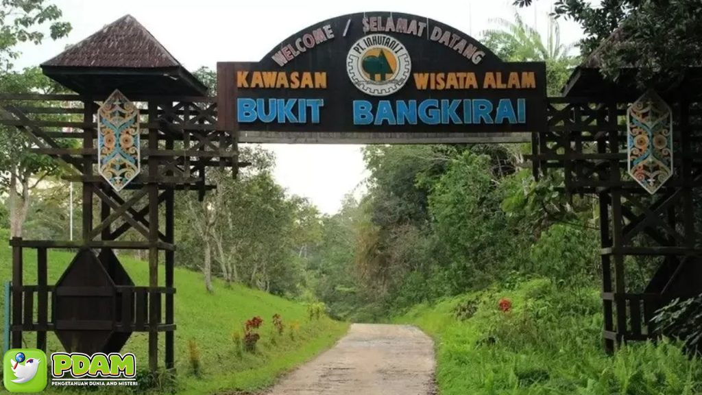 Bukit Bangkirai: Lebih dari Wisata, Menelusuri Misterinya