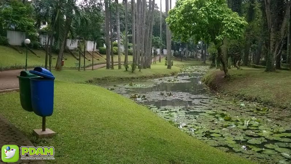 Menguak Misteri Taman Langsat: Mitos dan Fenomena Gaib